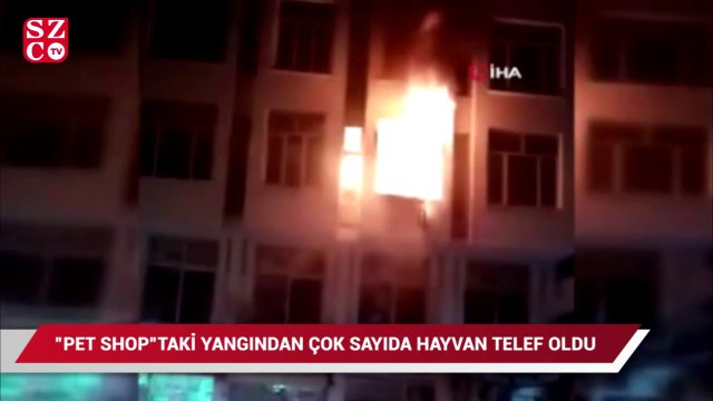 Yozgat’ta pet shopta yangın, çok sayıda hayvan telef oldu