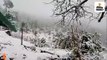 पहाड़ी इलाकों में फिर बर्फबारी, 5 नेशनल हाईवे समेत 233 सड़कें बंद