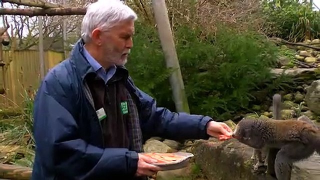 The Curator Of Animals At Bristol Zoo Gardens Retires!