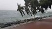 Tempête sur le lac Léman : des liaisons lacustres suspendues entre France et Suisse