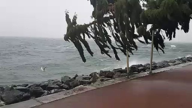 Tempête sur le lac Léman : des liaisons lacustres suspendues entre France et Suisse