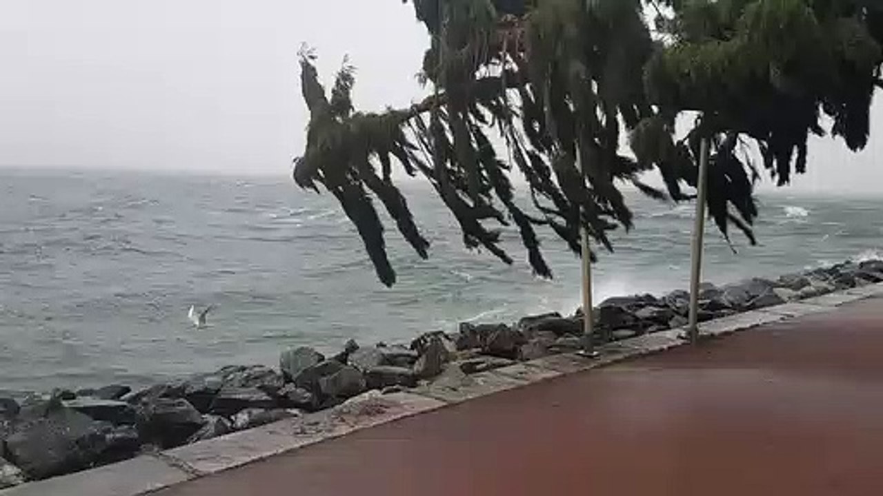Tempête sur le lac Léman : des liaisons lacustres suspendues entre France et Suisse