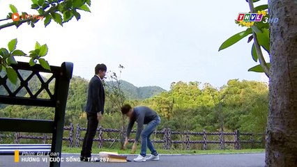 PHIM ĐÀI LOAN - HƯƠNG VỊ CUỘC SỐNG TẬP 267 - 27/01/2020