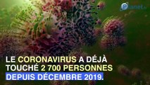 Coronavirus chinois : porter un masque est-il vraiment efficace ?