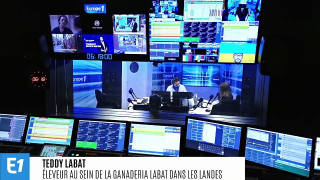 Intervilles sans vachettes : l'émission se prive de son meilleur moment