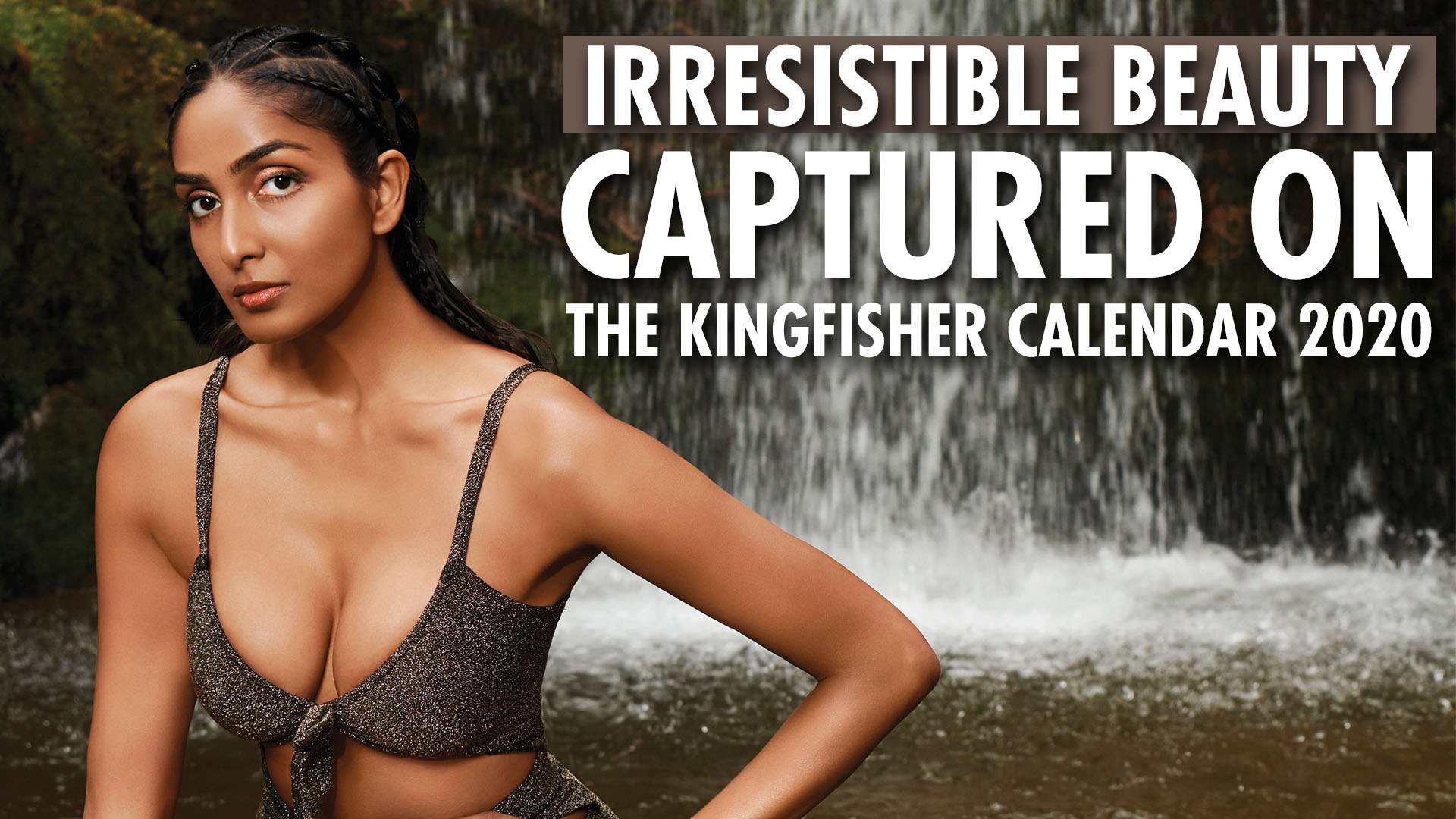 Kingfisher Calendar Wallpapers