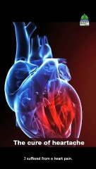 WhatsApp Status - How to control heart's pain - English Subtitle