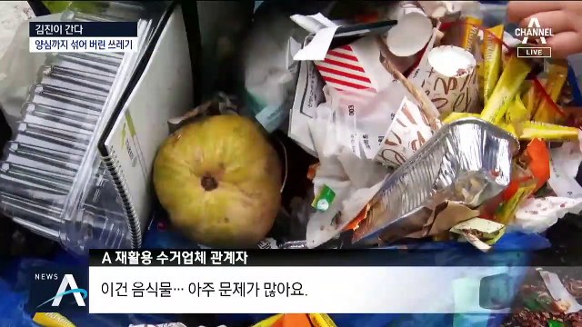 [김진이 간다]양심까지 섞어 버린 명절 쓰레기