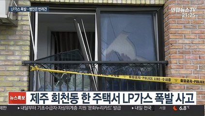 또 LP가스 폭발…"반려견이 LP가스 호스 물어뜯어 누출"