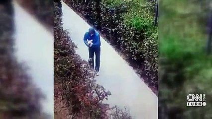 Bunun adı vahşet! İstanbul'da yürek sızlatan görüntü