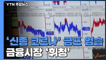 '신종 코로나' 공포 엄습...금융시장 '휘청' / YTN