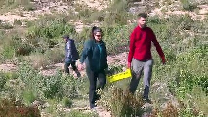 حملات تشجير في تونس يقودها شباب متطوع