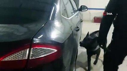 Düzce polisi 24 kilo esrar ele geçirdi