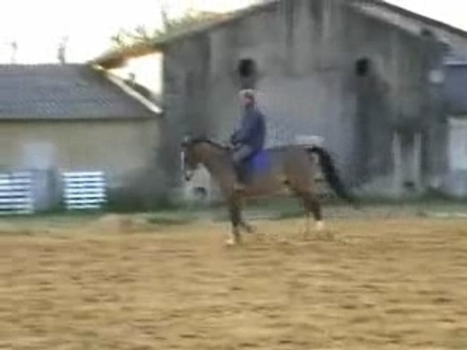 Orion D'Andredart travail sur le plat