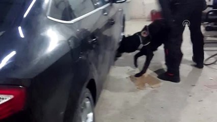 24 kilogram toz esrar ele geçirildi - DÜZCE