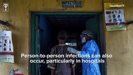 Understanding Lassa fever