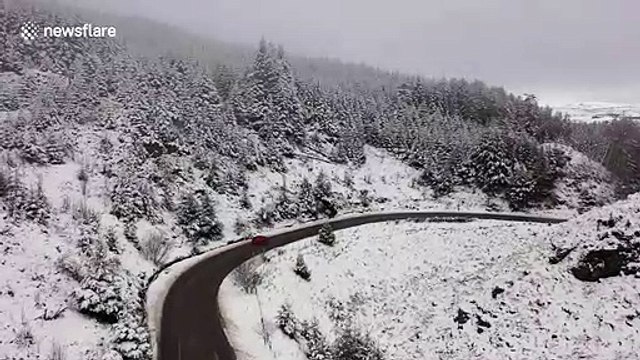 Drone footage showcases wintery conditions in Northern Ireland as forest blanketed by snow