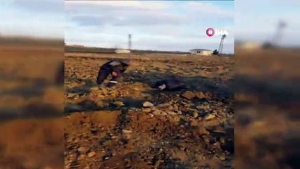 Şaha kalkan traktör 2 kişiyi üzerinden fırlattı