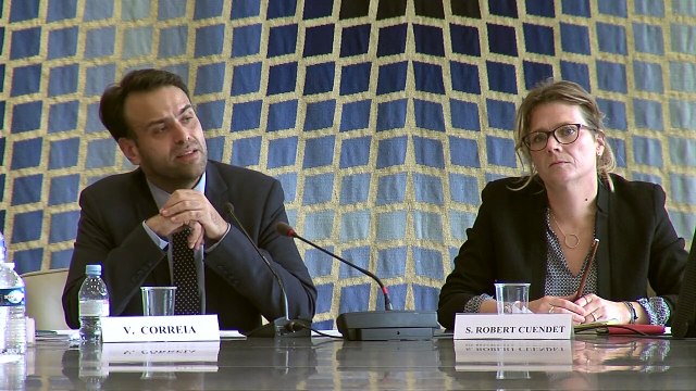 08- L’influence du droit de l’Union européenne sur la privatisation d’ADP , Vincent Correia, Professeur de droit public à l’Université Paris Saclay (Paris XI), @La privatisation d’Aéroports de Paris, colloque IEJUC