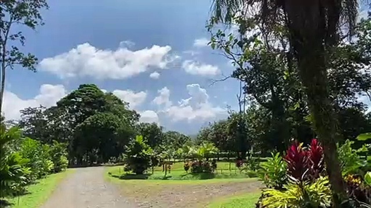 Eruption Rincon de la Vieja - 29 Janvier 2020