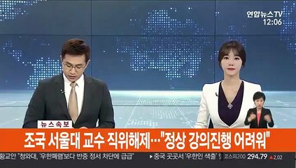 [속보] 조국 서울대 교수 직위해제…"정상 강의진행 어려워"