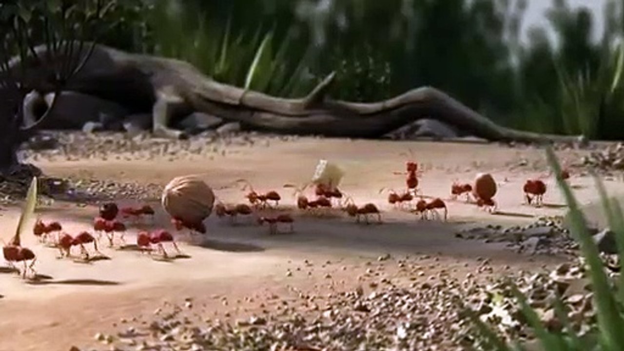Best example of unity