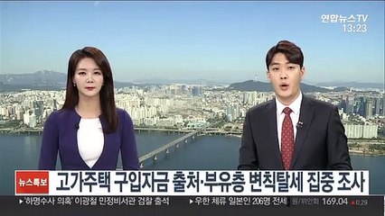 고가주택 구입자금 출처·부유층 변칙탈세 집중 조사
