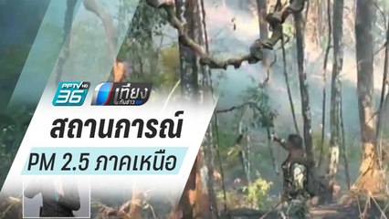 เผาไร่-เผาป่า ทำภาคเหนือเผชิญปัญหาPM 2.5 | เที่ยงทันข่าว