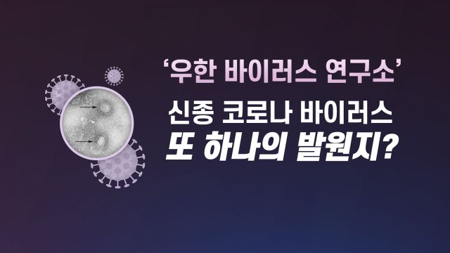 [앵커리포트] 연구소에서 바이러스 유출?...공포감 키우는 소문의 실체 / YTN
