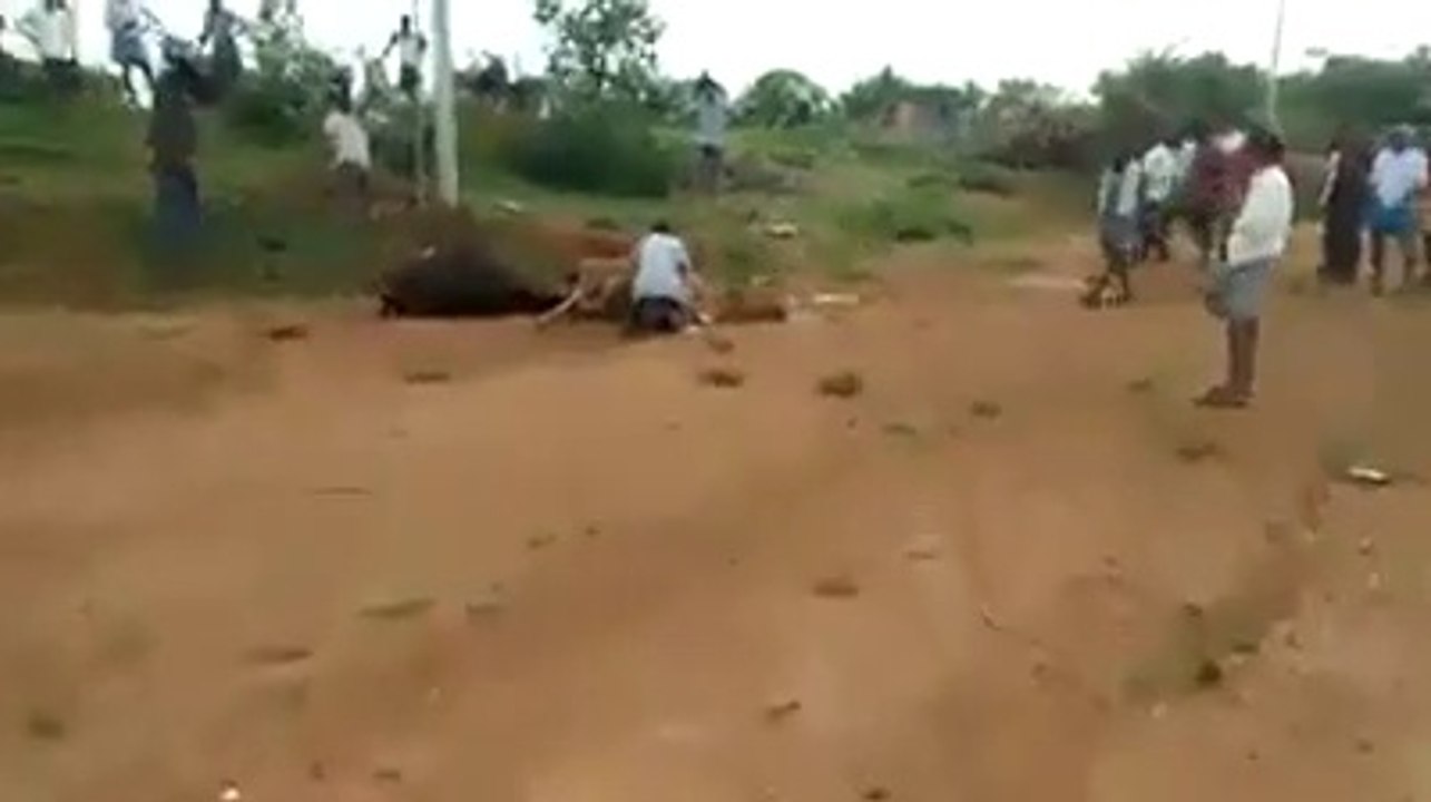 সর্বস্ব হারিয়ে নিঃস্ব হয়ে যাওয়া এক অসহায় মানুষের আর্তনাদ দেখে খুব কষ্ট লাগছে/It is hard to see the cry of a helpless man who has lost everything,