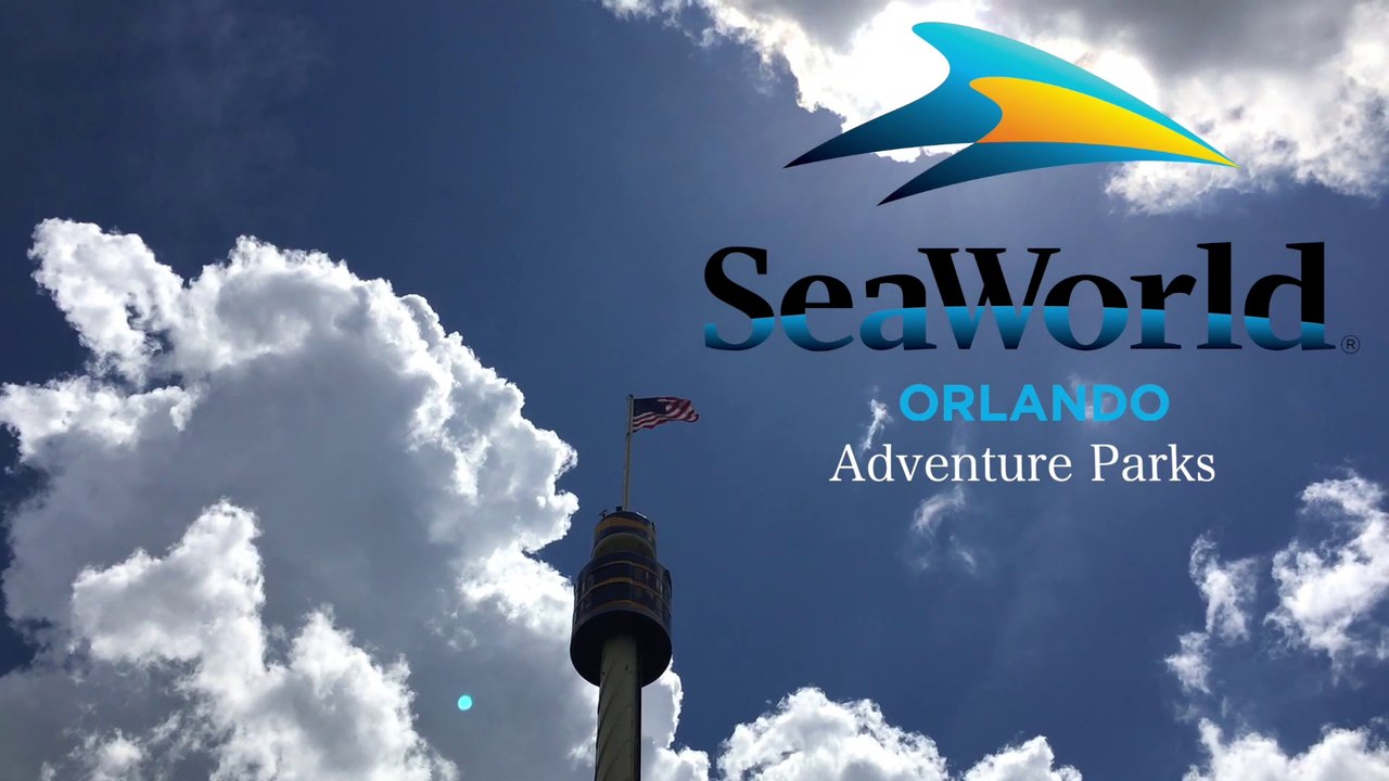 Театр дельфинов / SeaWorld Orlando, Dolphin Days