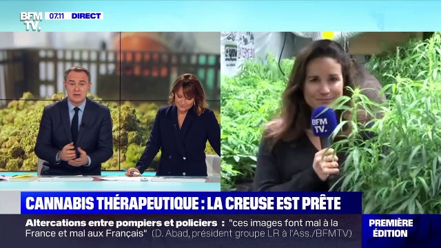 Cannabis Thérapeutique: la creuse est prête - 29/01