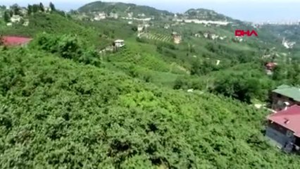 İstanbul-yıllarca karın ağrısının nedeni bulunamadı? yumurtalıklarında 'varis' çıktı