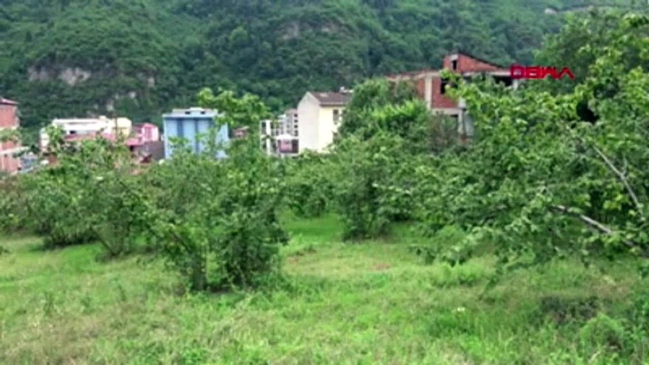 Karadeniz'i istila ettiler ! 1 milyar dolar zarar var