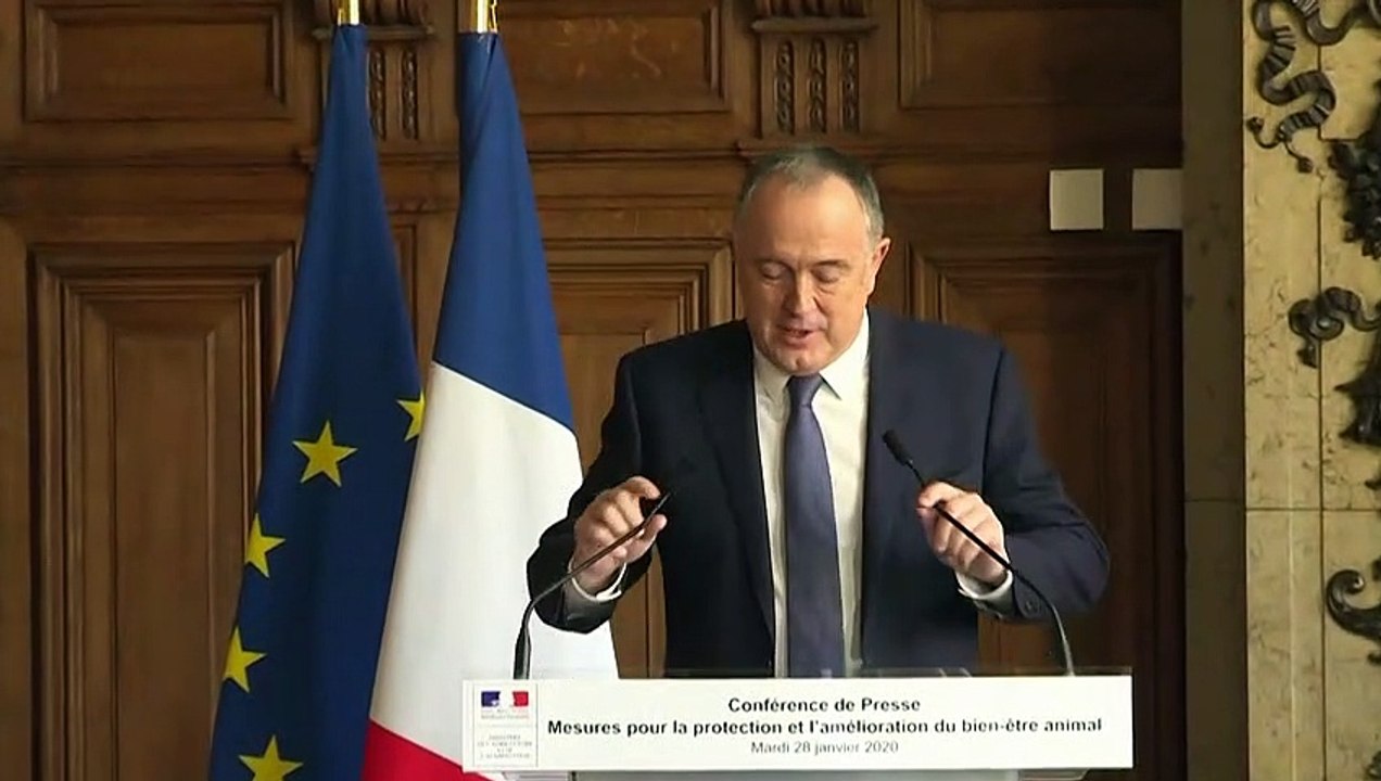 Frankreich verbietet Kükentöten ab 2021