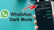 How To Enable Dark Mode On WhatsApp Officially 2020