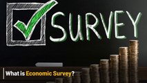 What comprises Economic Survey?