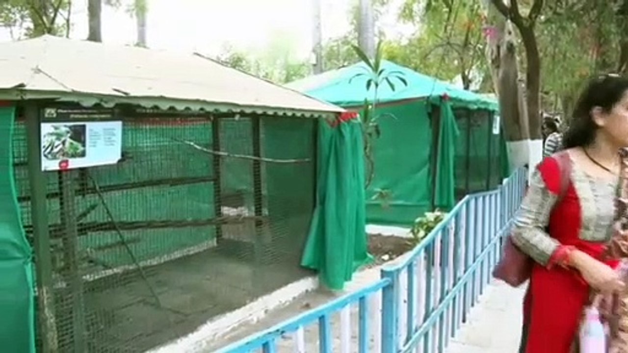 इंदौर ज़ू में बढ़ी लोगों की भीड़, सुरक्षा के मद्देनजर लगाए जाएंगे सीसीटीवी कैमरे