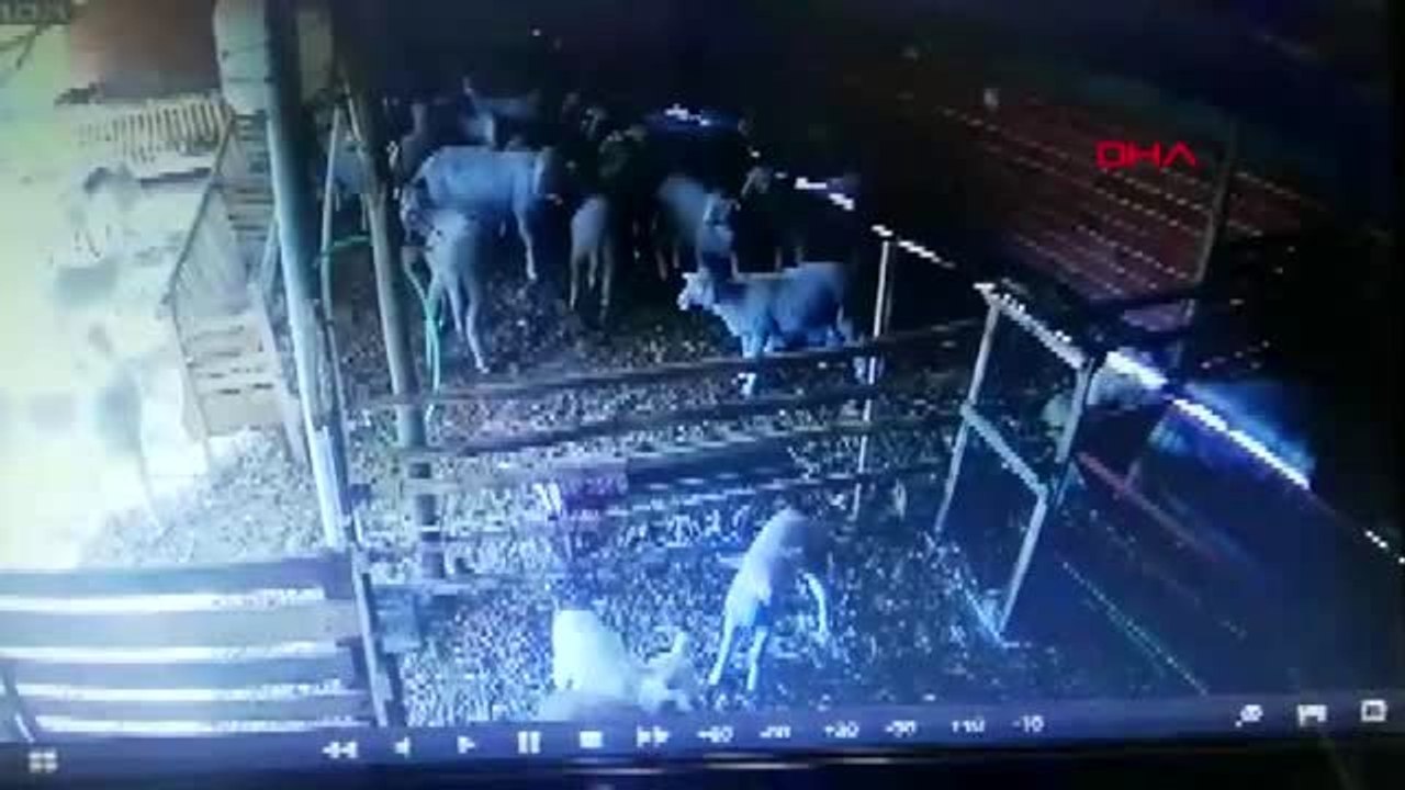 Manisa'da artçılar sürüyor, vatandaşlar tedirgin