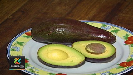 tn7-gobierno-busca-incrementar-produccion-de-aguacate-290120