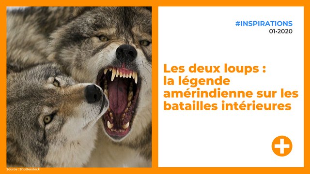 Les deux loups : la légende amérindienne sur les batailles intérieures