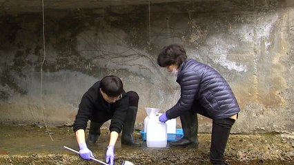 [대전/대덕] 대전시, 원자력연 주변 하천 자체조사 / YTN
