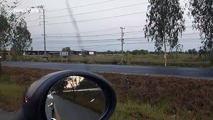 Four men on motorbikes chase after escaped giraffe in Thailand