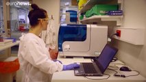Suche nach Gegenmittel: Coronavirus im Labor nachgezüchtet