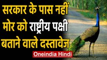 मोर को कब और किसने घोषित किया राष्ट्रीय पक्षी?  सरकार को नहीं पता! | Oneindia Hindi