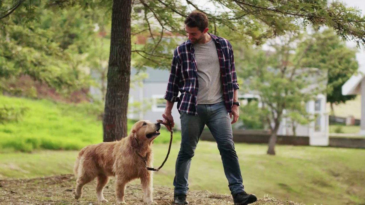 PETA warnt vor diesen Fehlern beim Gassi gehen