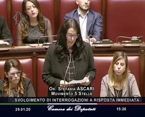 Question Time alla Camera dei Deputati con il ministro per le pari opportunità (29.01.20)