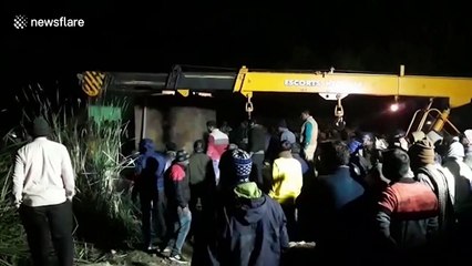 Wild elephant has lethal rampage before falling into ditch in east India