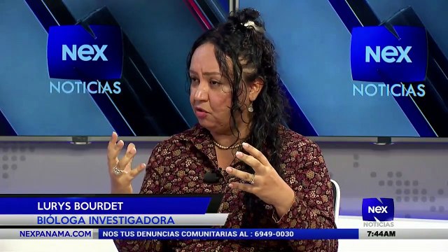 Entrevista a la bióloga investigadora Lurys Bourdet, sobre el Coronavirus - Nex Noticias