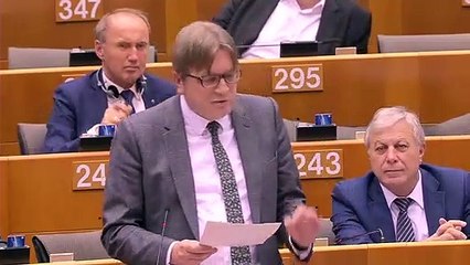 Guy Verhofstadt says European Parliament is voting to avoid a 'wild Brexit'